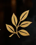 Gourmet Trails WebP